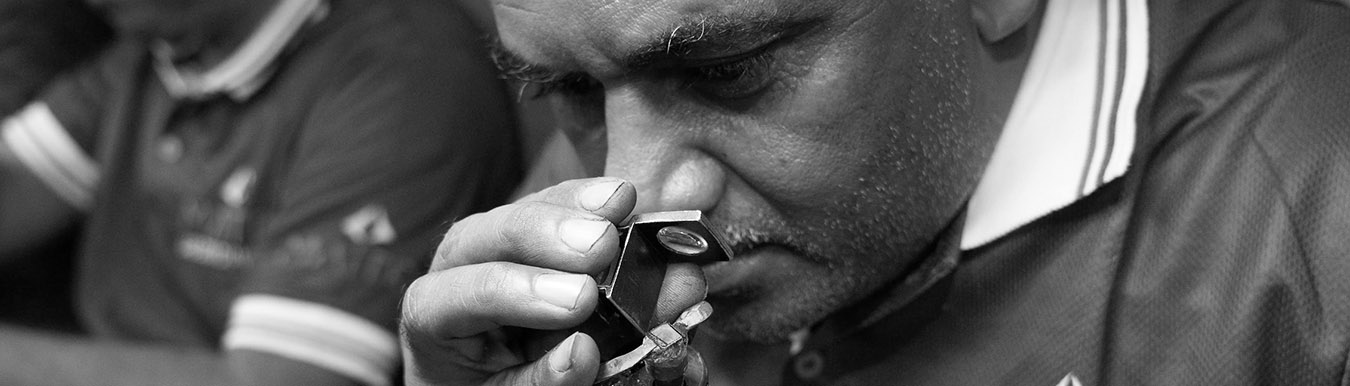 Cultivated with Precision Created with Care