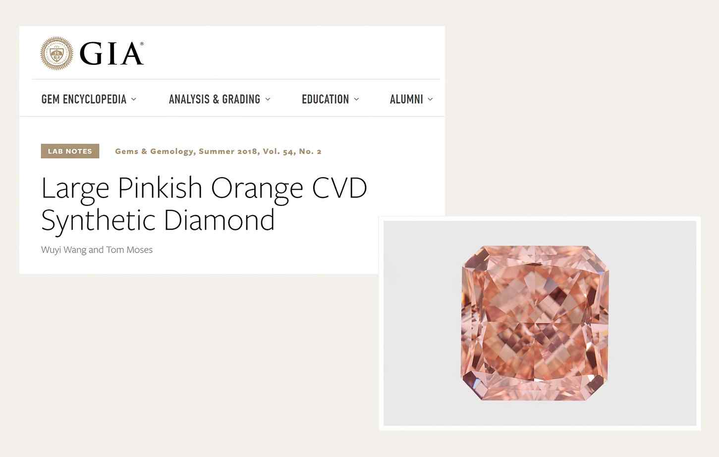 The 5.01 Carat Pink