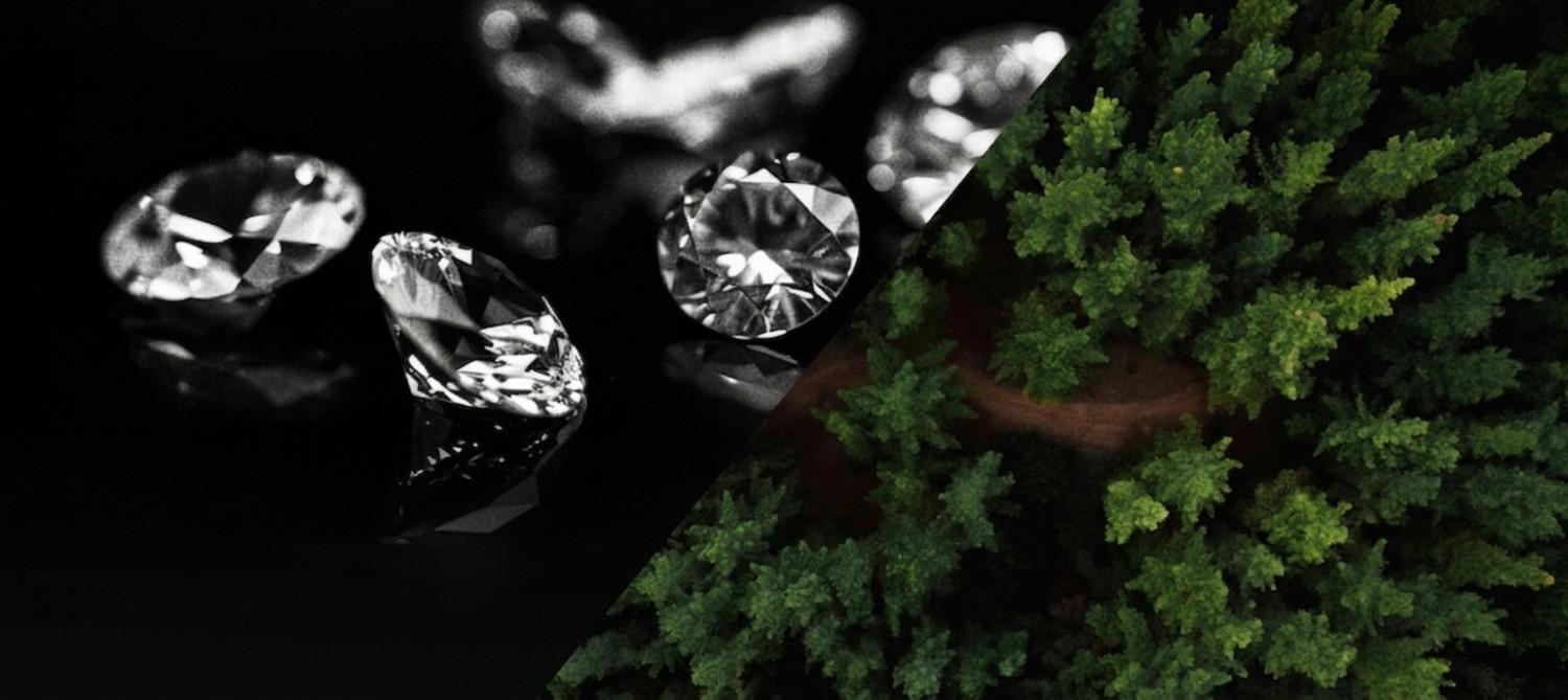 Where Luxury Meets Unwavering Integrity