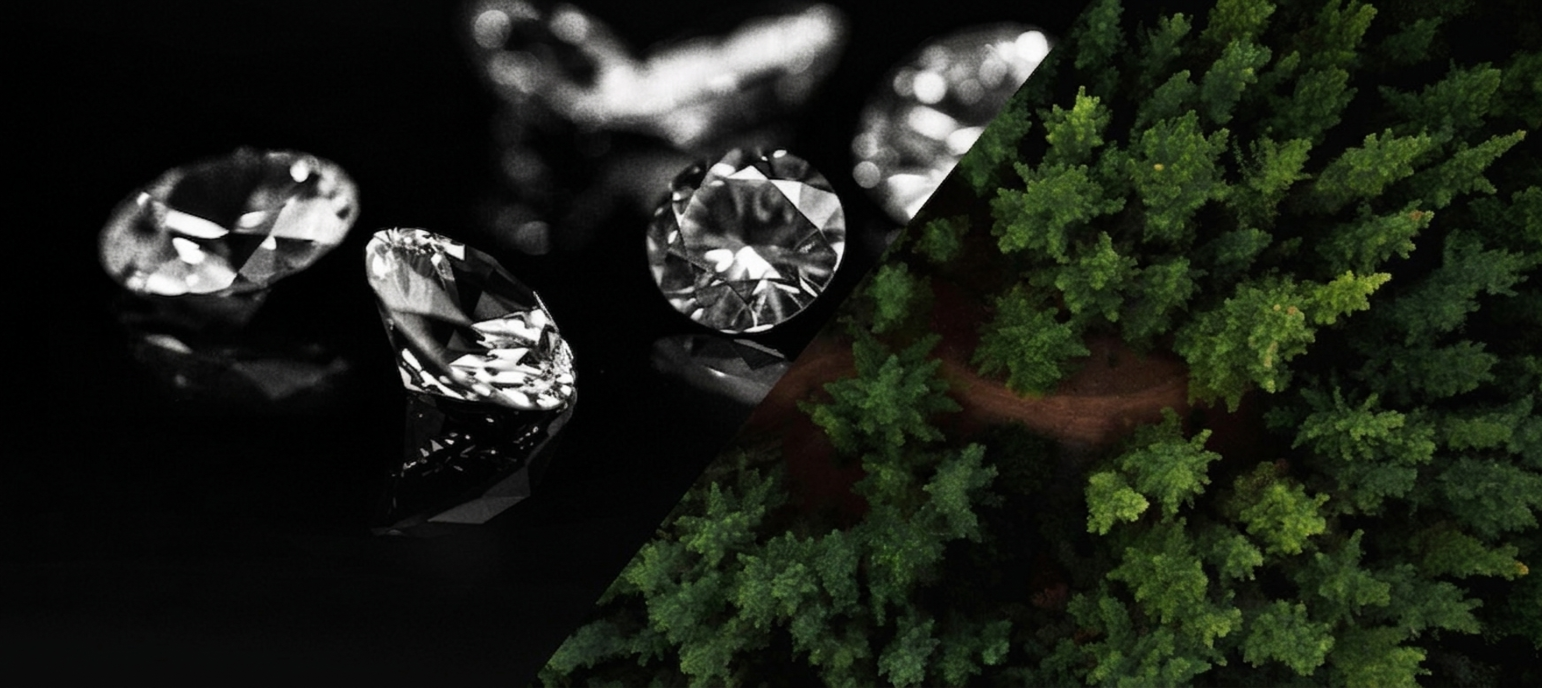 Where Luxury Meets Unwavering Integrity